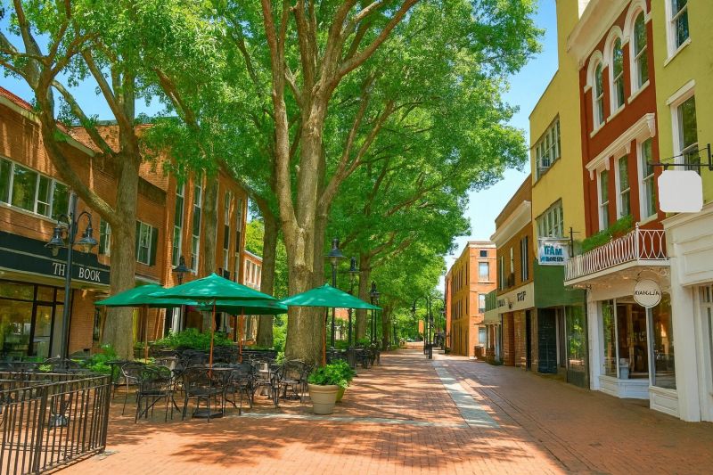 Best Tub To Shower Conversion pros in Smithfield, VA