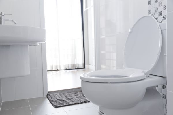 Cost of Toilet Relocation in Williamsburg